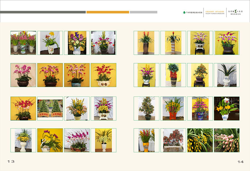 廣州花場苗木畫冊設計,花場苗木畫冊設計公司 廣州花場苗木畫冊設計,花場苗木畫冊設計公司