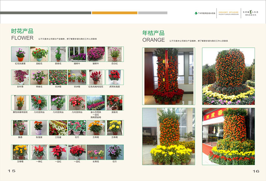 廣州花場苗木畫冊設計,花場苗木畫冊設計公司 廣州花場苗木畫冊設計,花場苗木畫冊設計公司