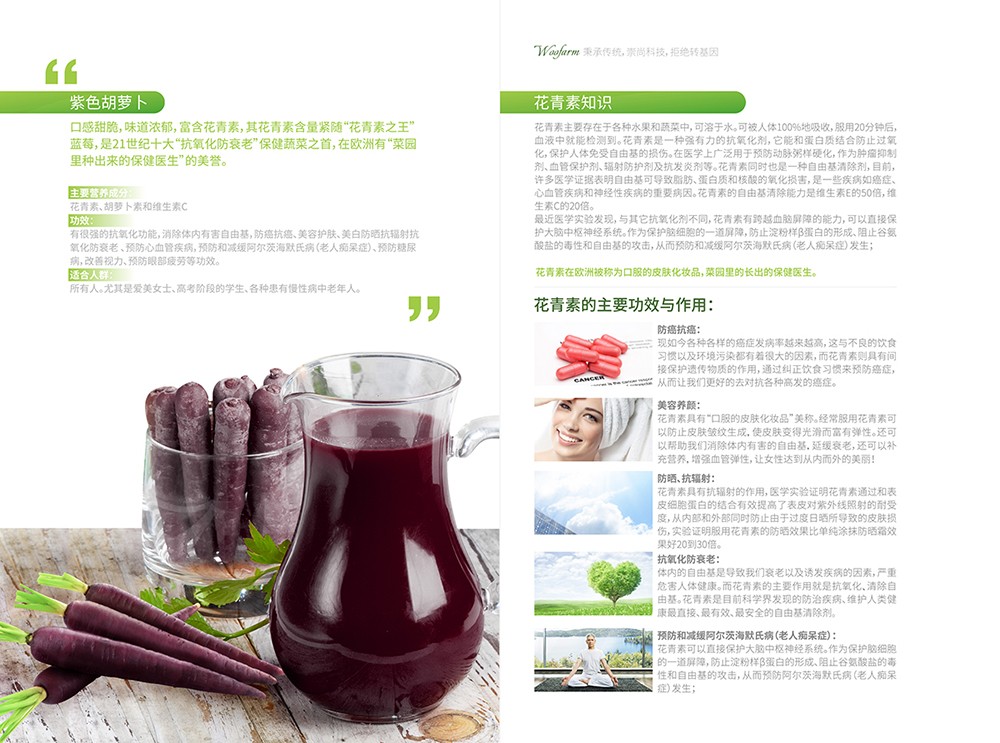 農(nóng)產(chǎn)品畫(huà)冊(cè)設(shè)計(jì),農(nóng)副產(chǎn)品畫(huà)冊(cè)設(shè)計(jì)公司 農(nóng)產(chǎn)品畫(huà)冊(cè)設(shè)計(jì),農(nóng)副產(chǎn)品畫(huà)冊(cè)設(shè)計(jì)公司