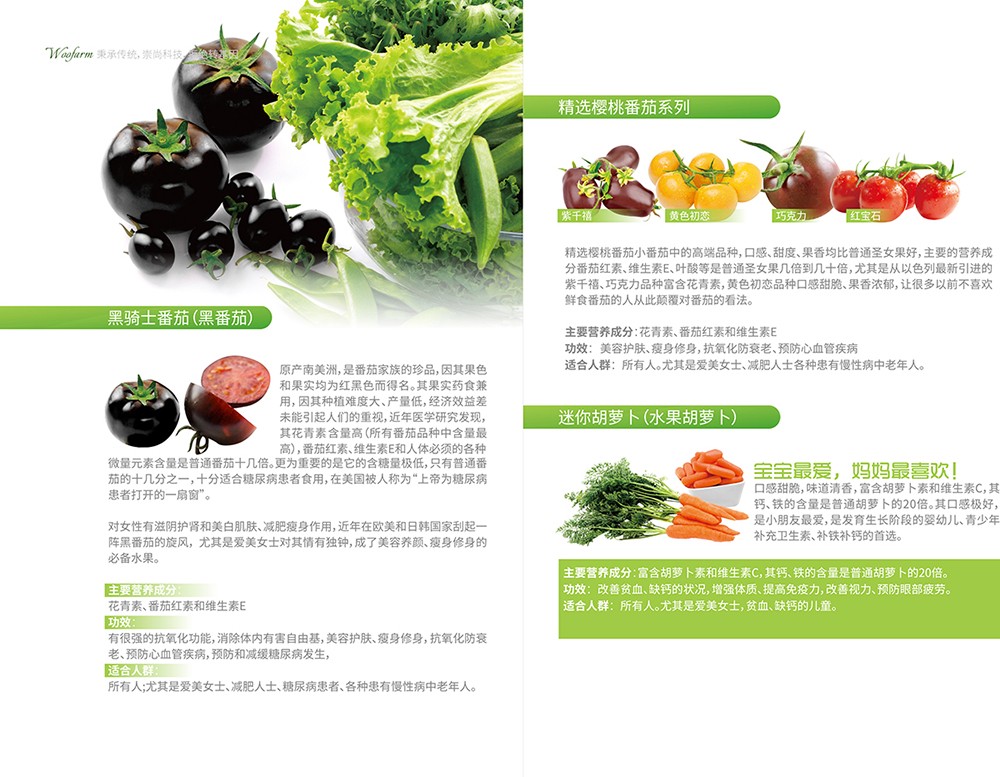 農(nóng)產(chǎn)品畫(huà)冊(cè)設(shè)計(jì),農(nóng)副產(chǎn)品畫(huà)冊(cè)設(shè)計(jì)公司 農(nóng)產(chǎn)品畫(huà)冊(cè)設(shè)計(jì),農(nóng)副產(chǎn)品畫(huà)冊(cè)設(shè)計(jì)公司