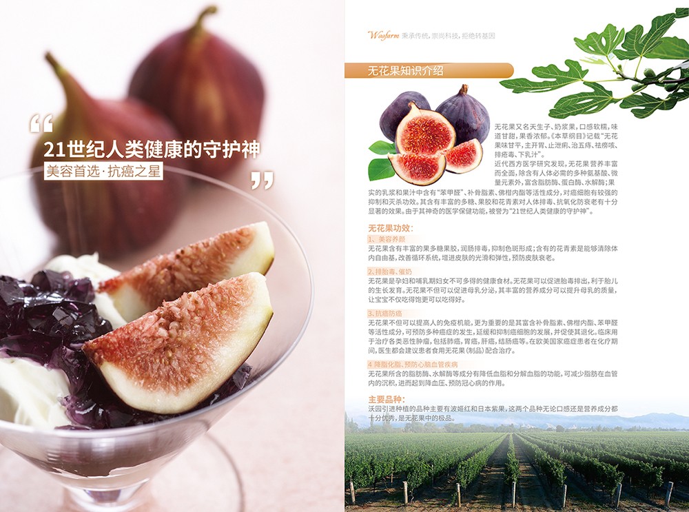 農(nóng)產(chǎn)品畫(huà)冊(cè)設(shè)計(jì),農(nóng)副產(chǎn)品畫(huà)冊(cè)設(shè)計(jì)公司 農(nóng)產(chǎn)品畫(huà)冊(cè)設(shè)計(jì),農(nóng)副產(chǎn)品畫(huà)冊(cè)設(shè)計(jì)公司