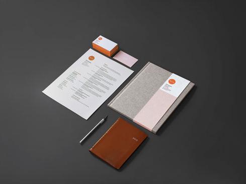 vi改良設計 vi改良設計