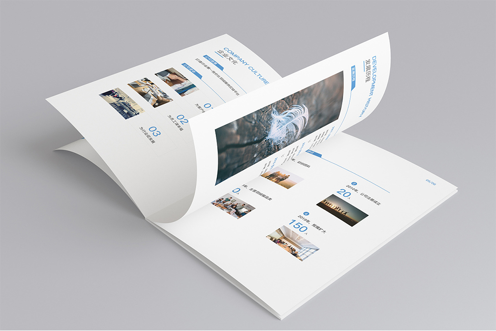 企業(yè)畫冊(cè)是一種對(duì)外宣傳的視覺(jué)表達(dá) 企業(yè)畫冊(cè)是一種對(duì)外宣傳的視覺(jué)表達(dá)