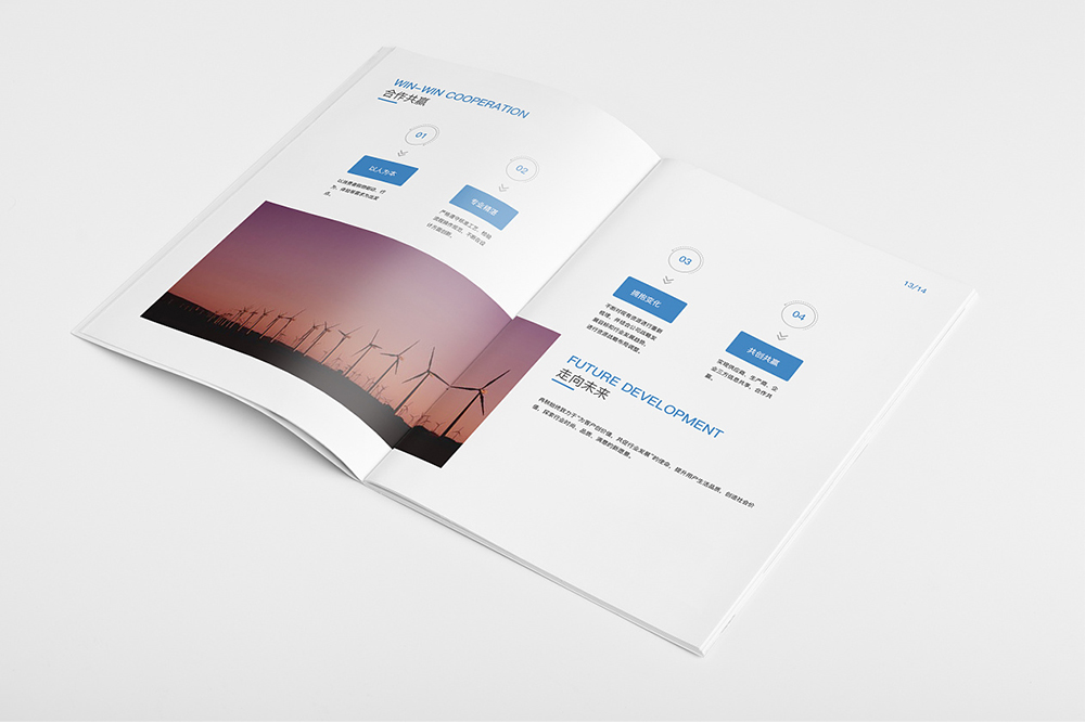 畫冊(cè)具有無(wú)可比擬的絕對(duì)優(yōu)勢(shì) 畫冊(cè)具有無(wú)可比擬的絕對(duì)優(yōu)勢(shì)