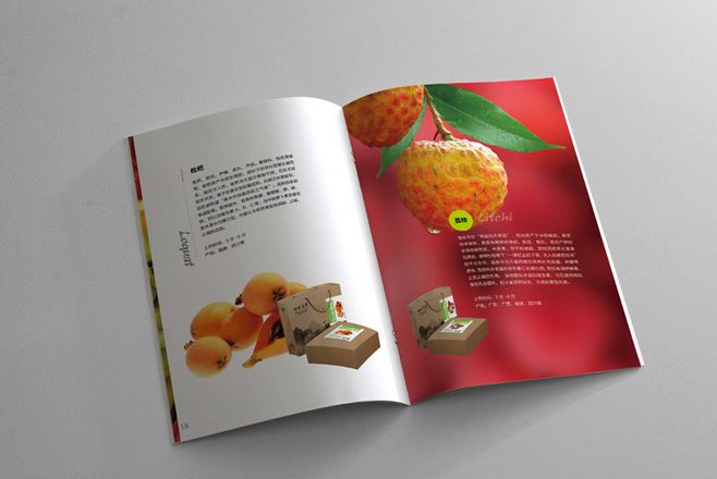 宣傳冊設計一般一頁多少錢?宣傳冊的特點有哪些?