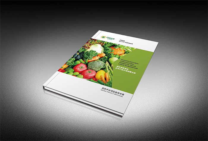 產(chǎn)品宣傳畫(huà)冊(cè)設(shè)計(jì)哪家好