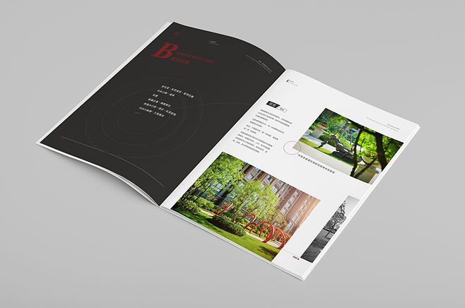 畫冊畫冊設(shè)計多少錢？畫冊設(shè)計有哪些排版？