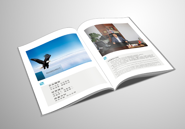 怎樣才是一本好的畫冊? 怎樣才是一本好的畫冊?