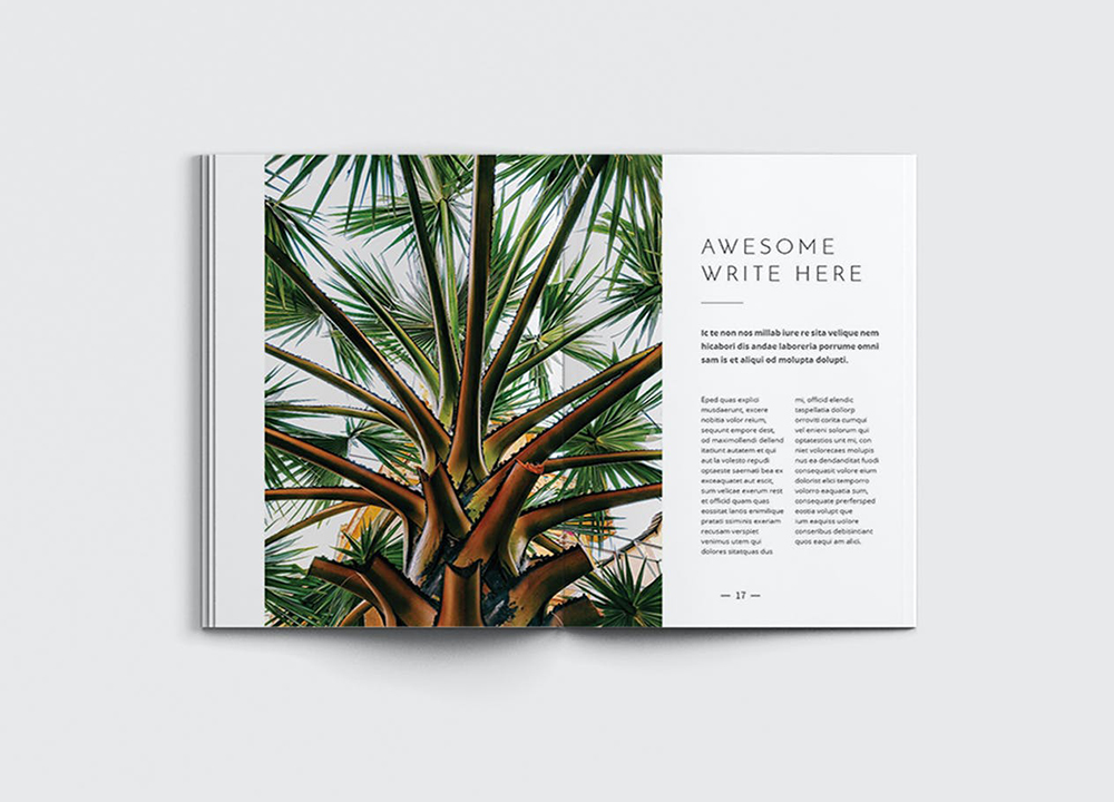 設(shè)計(jì)一套畫(huà)冊(cè)多少錢(qián)？畫(huà)冊(cè)設(shè)計(jì)有哪些排版？