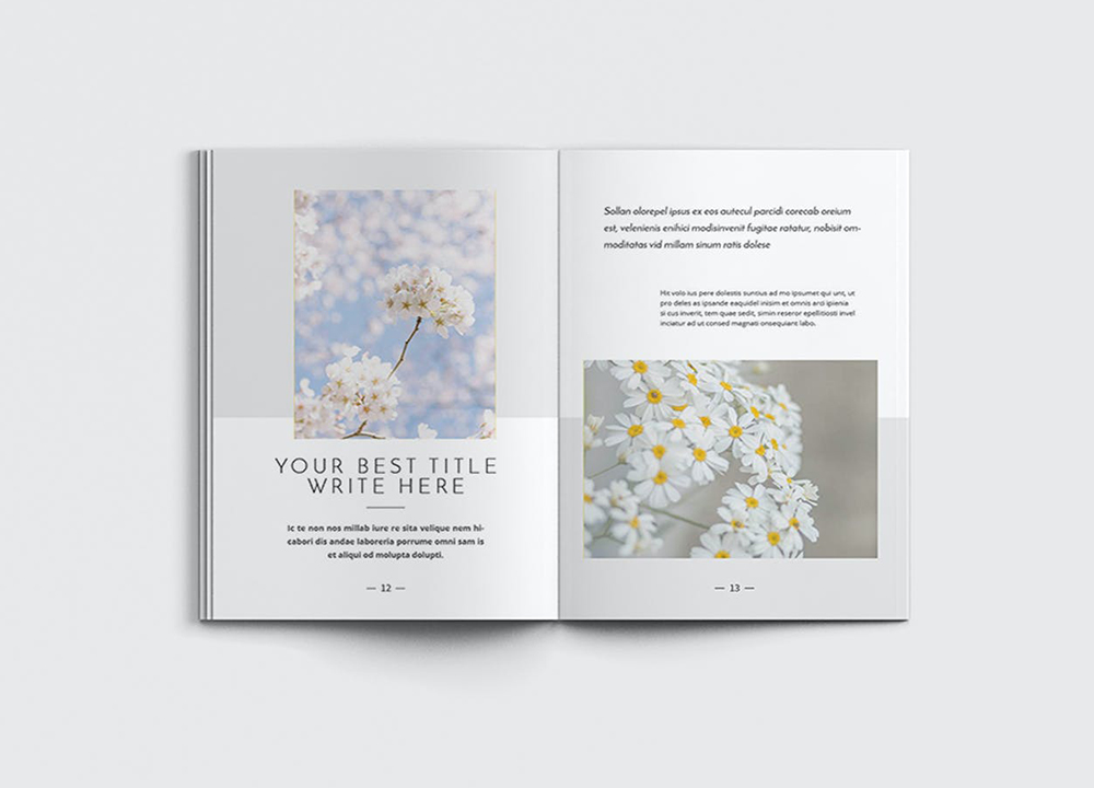 設(shè)計(jì)一本畫(huà)冊(cè)多少錢(qián)？畫(huà)冊(cè)怎么制作設(shè)計(jì)？