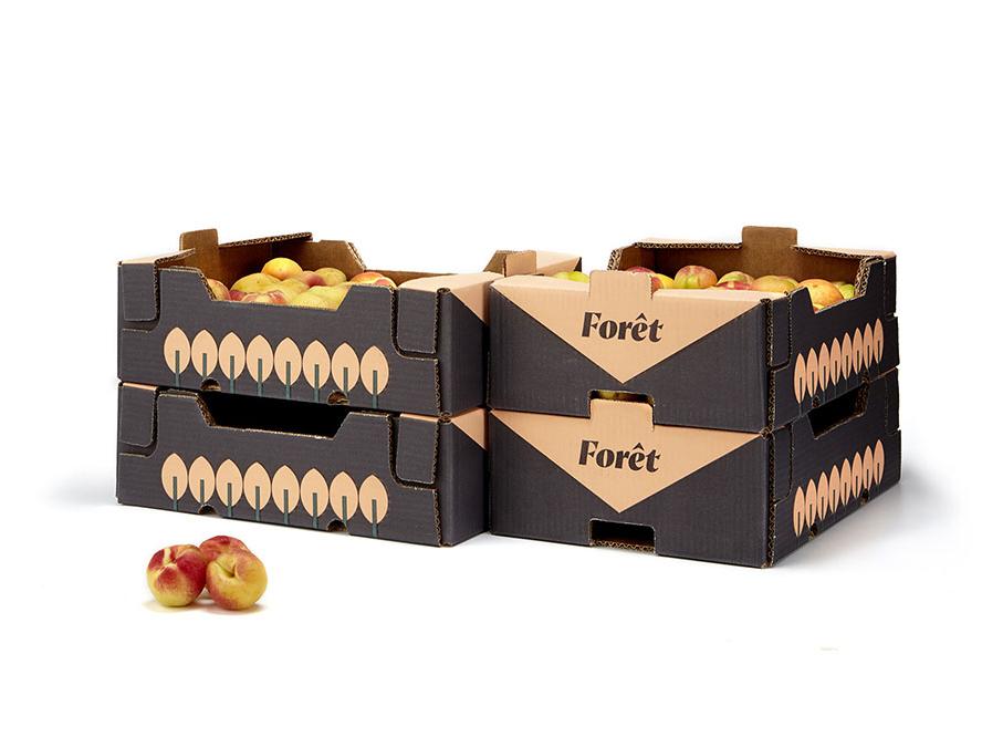 產品包裝設計 產品包裝設計