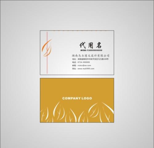 個(gè)人名片設(shè)計(jì) 個(gè)人名片設(shè)計(jì)