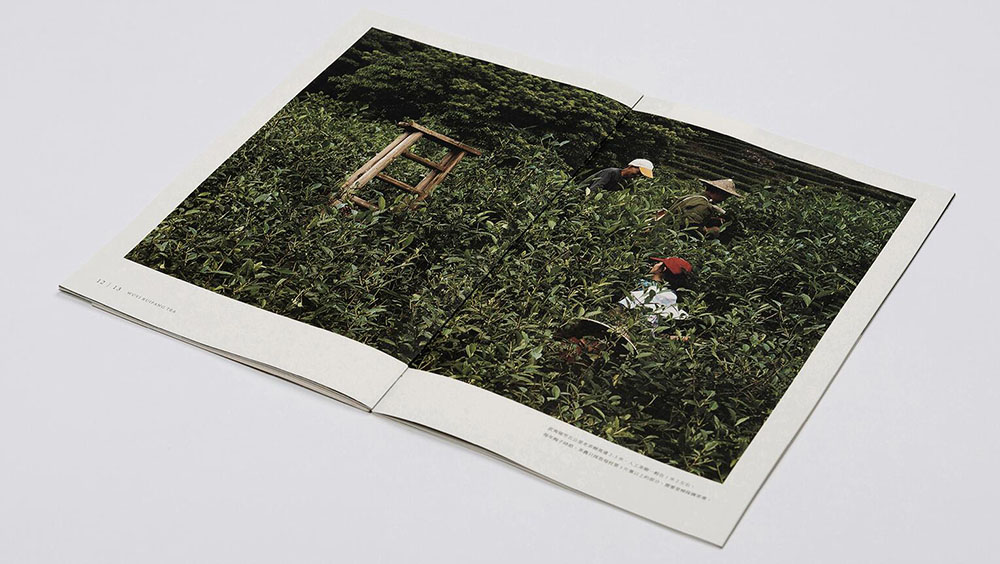 茶葉畫冊(cè)設(shè)計(jì),茶葉畫冊(cè)設(shè)計(jì)公司 茶葉畫冊(cè)設(shè)計(jì),茶葉畫冊(cè)設(shè)計(jì)公司