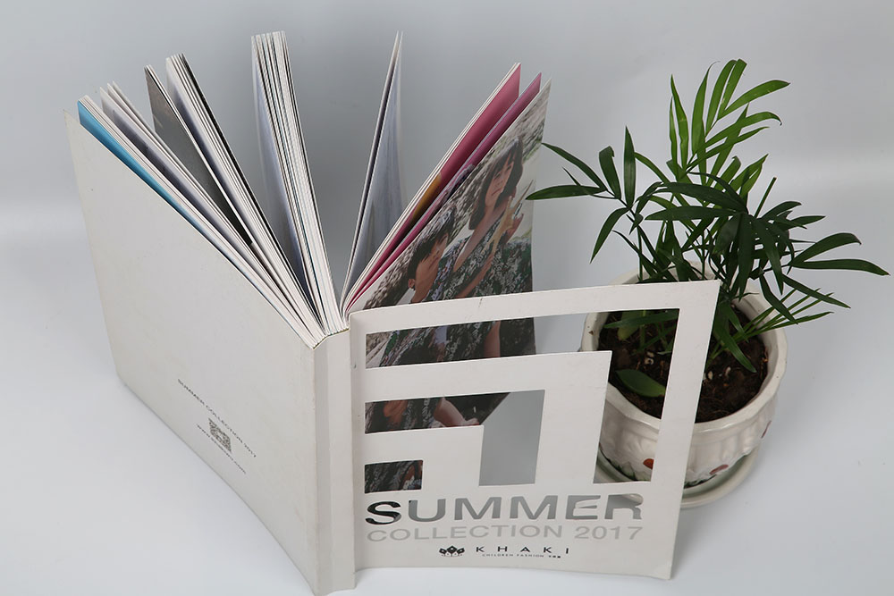 雜志畫冊(cè)印刷,雜志畫冊(cè)印刷廠 雜志畫冊(cè)印刷,雜志畫冊(cè)印刷廠