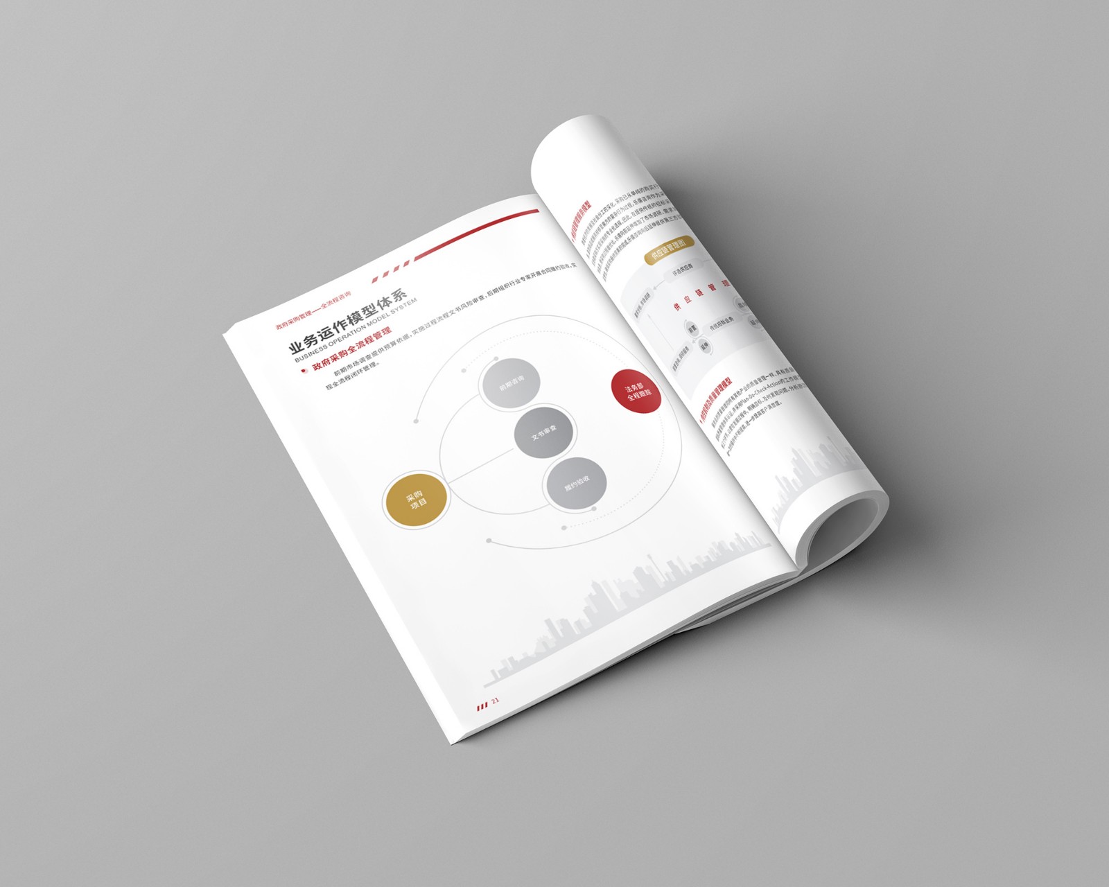 政府采購公司畫冊(cè)設(shè)計(jì)