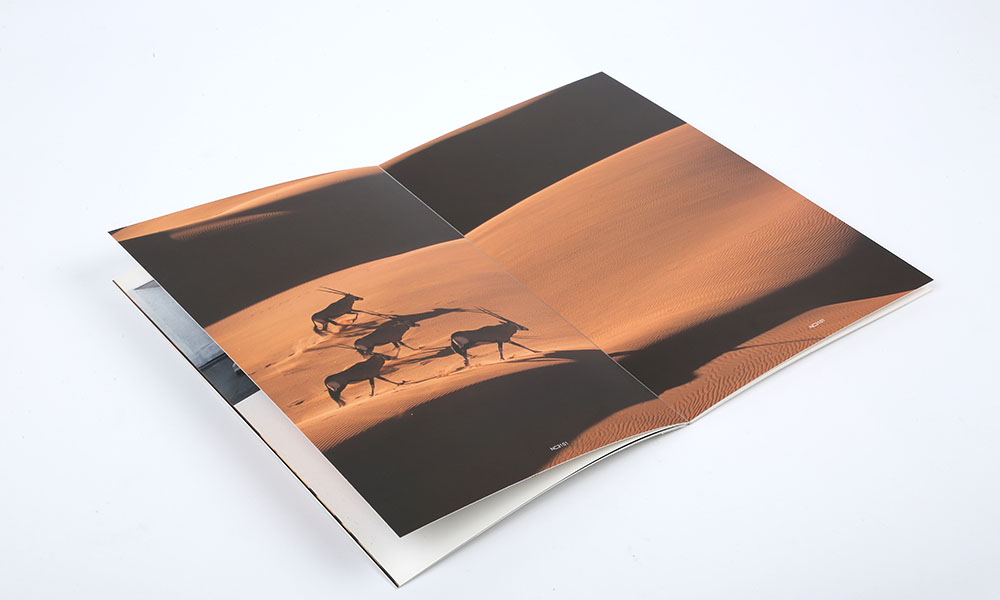 服裝企業畫冊設計,服裝企業畫冊設計公司 服裝企業畫冊設計,服裝企業畫冊設計公司