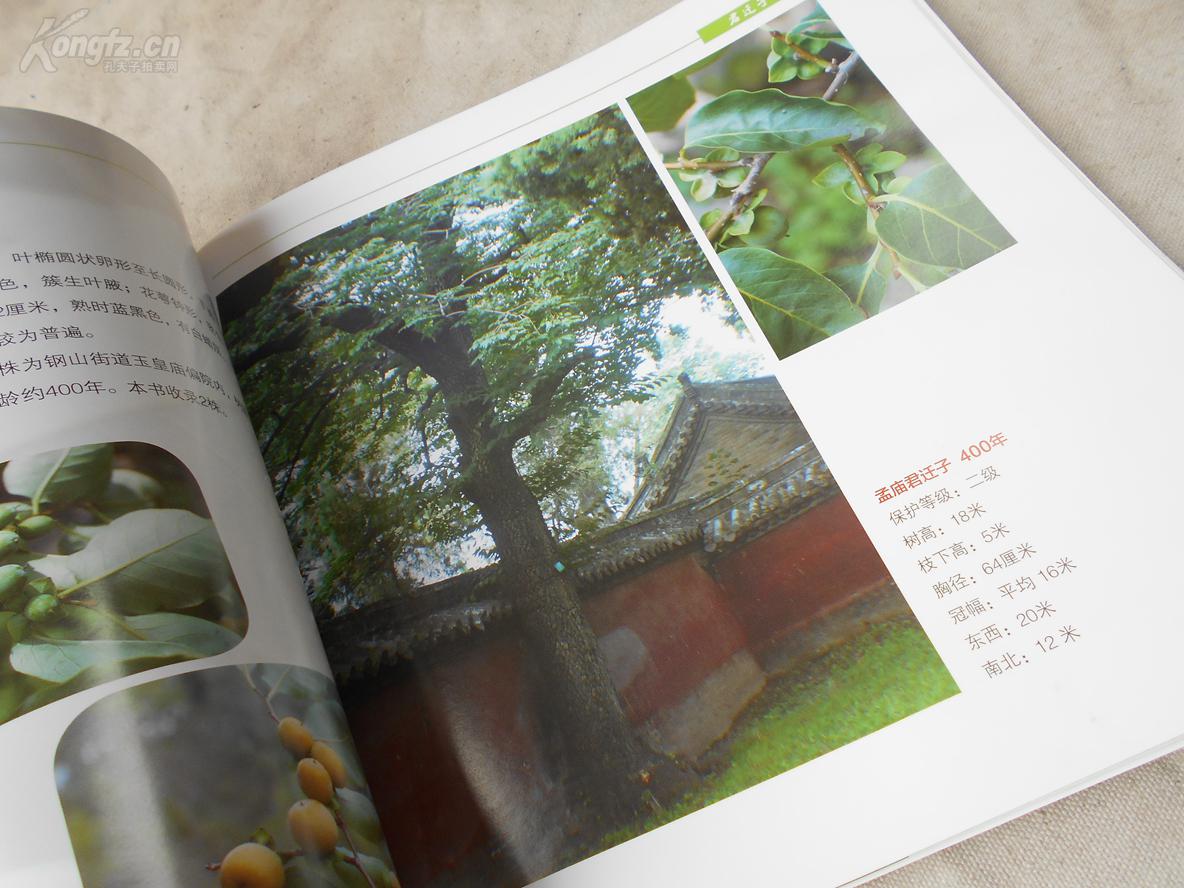 畫冊的價格怎么定價 畫冊的價格怎么定價