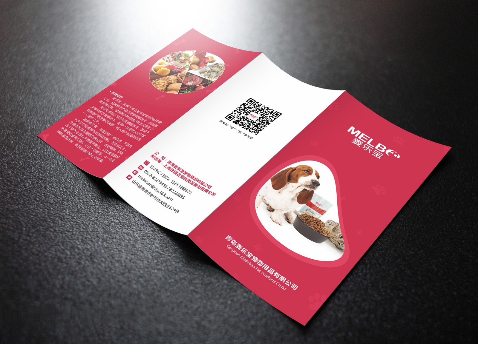 四折頁設計 四折頁設計