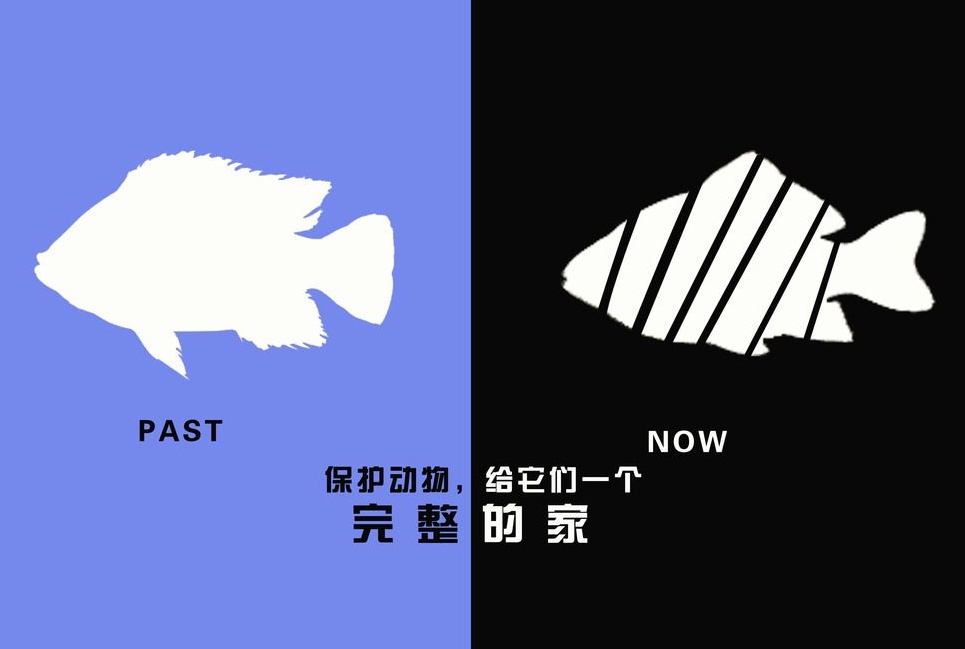 廣告設計制作 廣告設計制作