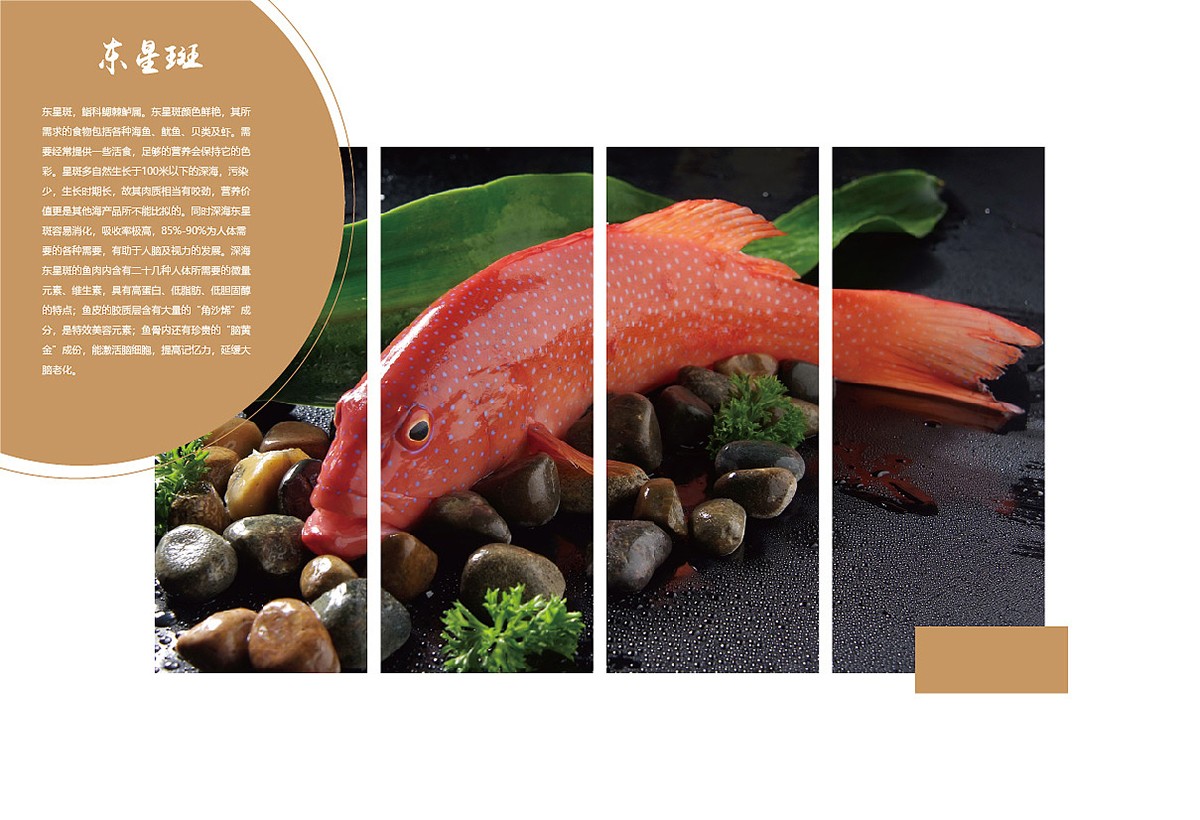 生鮮類產(chǎn)品宣傳冊設(shè)計,生鮮類產(chǎn)品宣傳冊設(shè)計公司 生鮮類產(chǎn)品宣傳冊設(shè)計,生鮮類產(chǎn)品宣傳冊設(shè)計公司