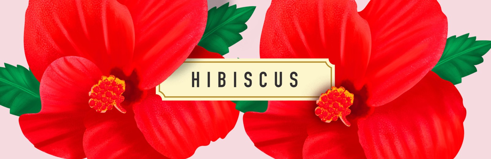 2022菊花茶包裝設(shè)計(jì),菊花茶包裝設(shè)計(jì)案例,花茶包裝設(shè)計(jì)案例欣賞 2022菊花茶包裝設(shè)計(jì),菊花茶包裝設(shè)計(jì)案例,花茶包裝設(shè)計(jì)案例欣賞