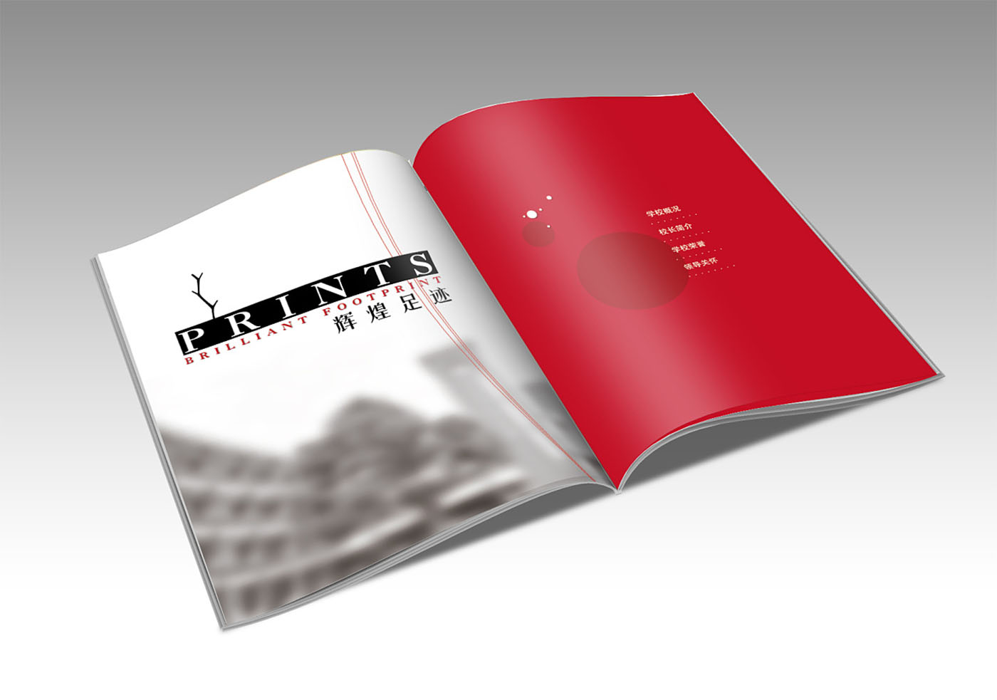 學(xué)校周年紀(jì)念冊設(shè)計-企業(yè)紀(jì)念畫冊設(shè)計公司 學(xué)校周年紀(jì)念冊設(shè)計-企業(yè)紀(jì)念畫冊設(shè)計公司