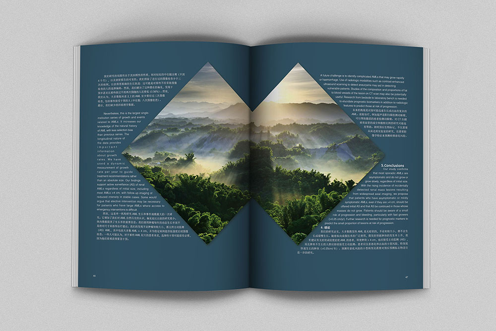 創意畫冊內頁設計,創意畫冊內頁設計案例欣賞 創意畫冊內頁設計,創意畫冊內頁設計案例欣賞