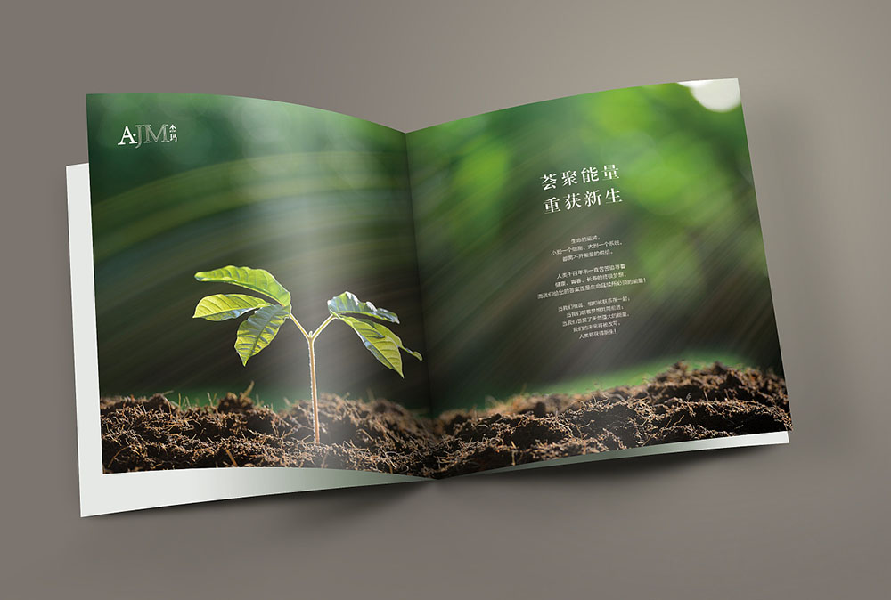 網紅化妝品畫冊封面設計,網紅化妝品內容模板設計公司 網紅化妝品畫冊封面設計,網紅化妝品內容模板設計公司