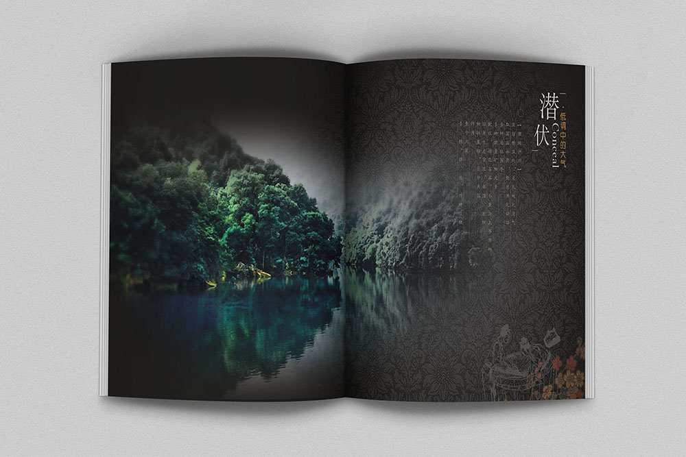 廣州白酒畫冊設計,廣州紅酒洋酒畫冊設計,飲品畫冊設計公司 廣州白酒畫冊設計,廣州紅酒洋酒畫冊設計,飲品畫冊設計公司