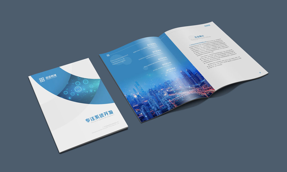 系統(tǒng)開發(fā)科技感宣傳畫冊(cè)設(shè)計(jì)公司