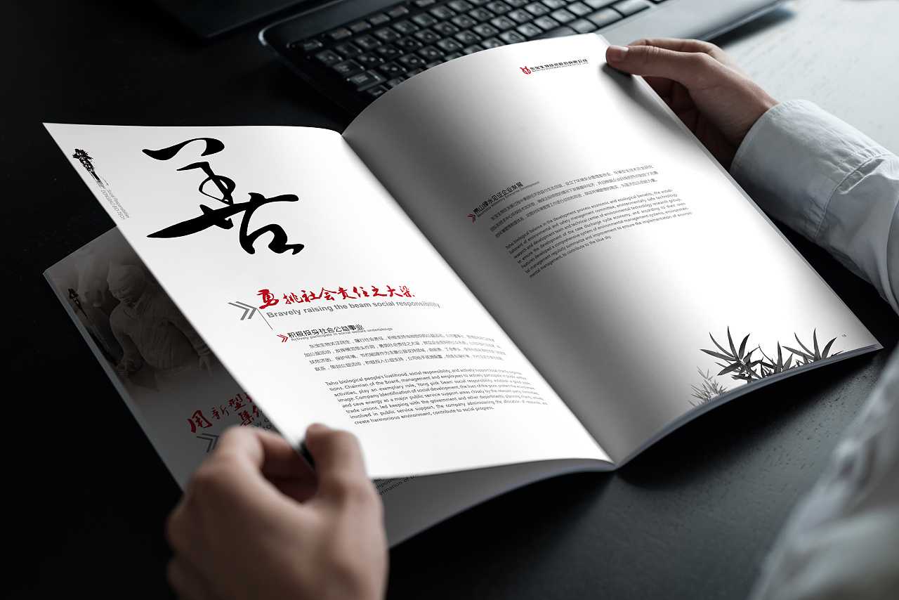 中國(guó)風(fēng)畫冊(cè)設(shè)計(jì)應(yīng)該怎么排版才比較吸引力? 中國(guó)風(fēng)畫冊(cè)設(shè)計(jì)應(yīng)該怎么排版才比較吸引力?