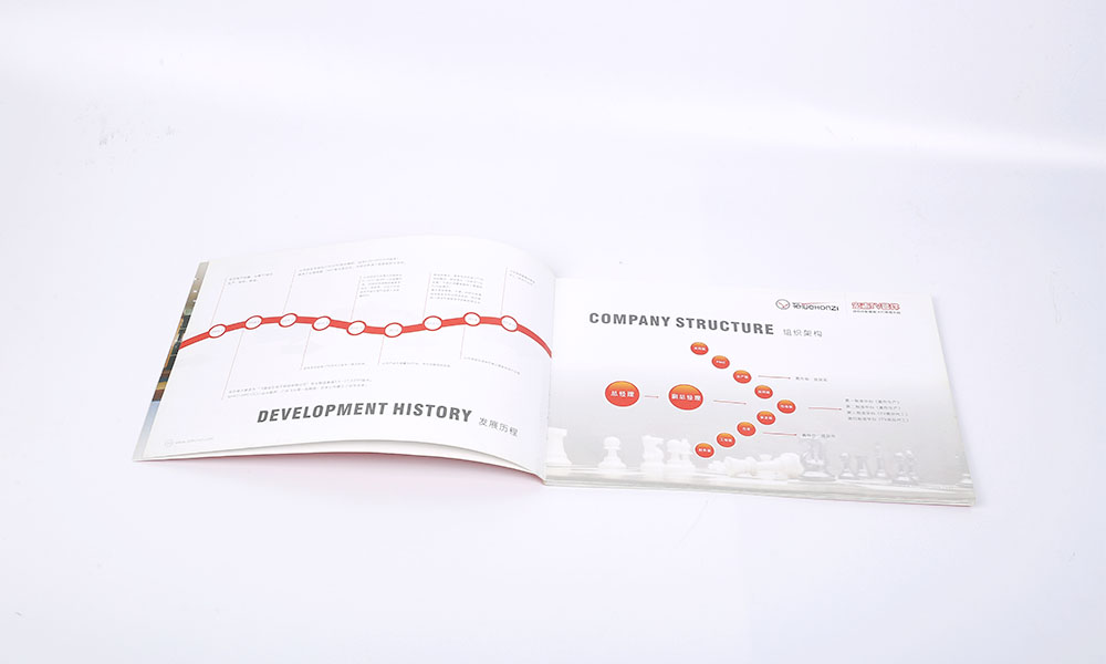 平面宣傳冊(cè)怎么哪家才行?