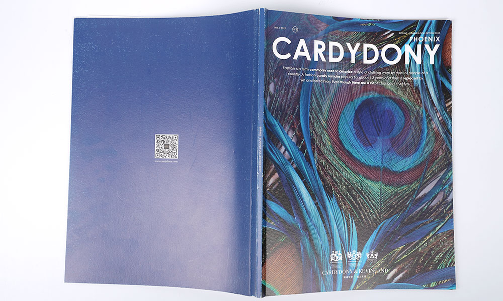 企業(yè)畫冊公司哪里找？