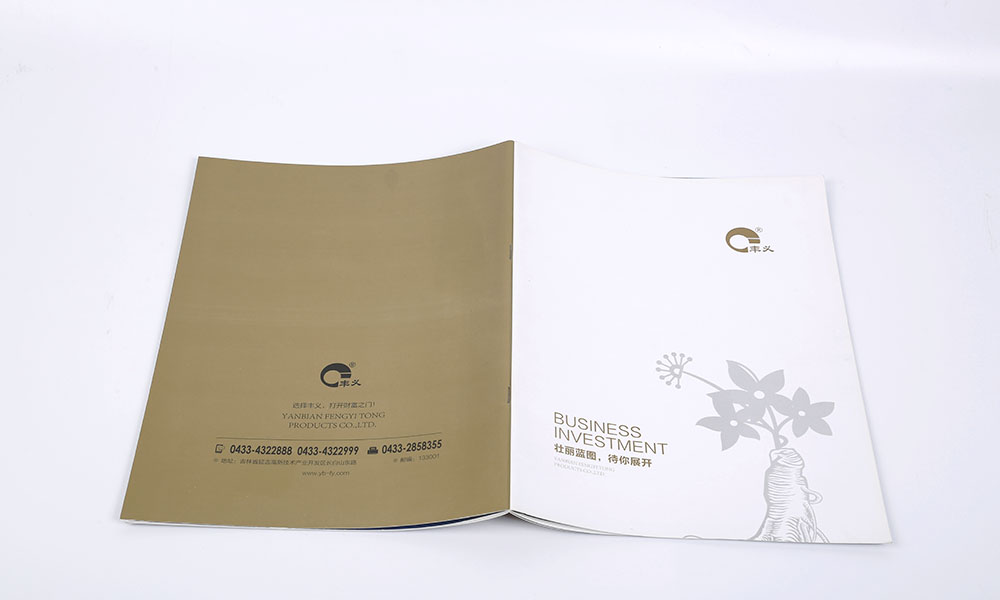 宣傳畫冊輸出多大美觀?