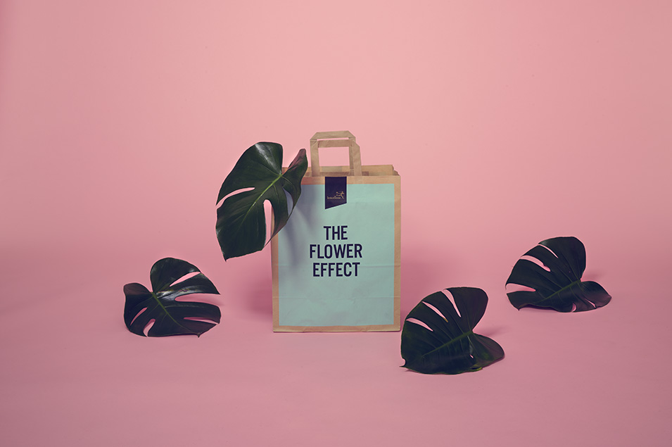 怎么找核桃包裝盒設(shè)計哪里多